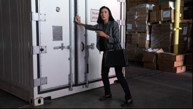 Bosch: Legacy 1x6