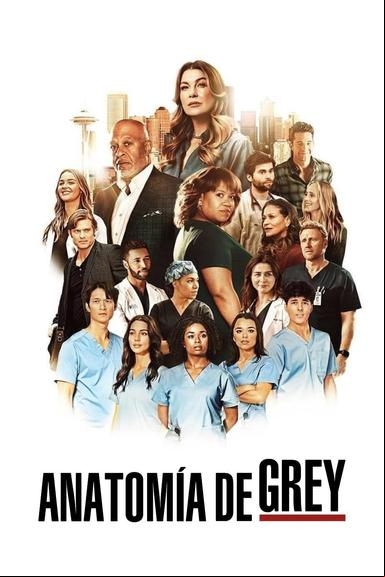 Anatomía según Grey
