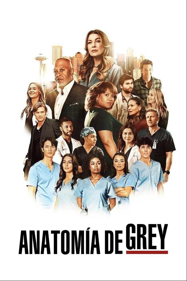 Anatomía según Grey