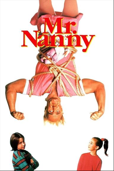 Mr. Nanny