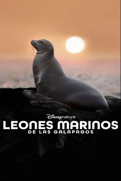 Leones Marinos de las Galápagos