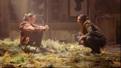The Last of Us 1x2